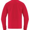 atc1015y_form_back_red_012017